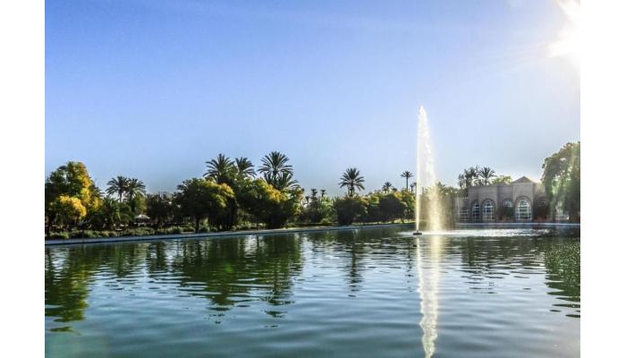 Hotel Barcelo Palmeraie poza 21