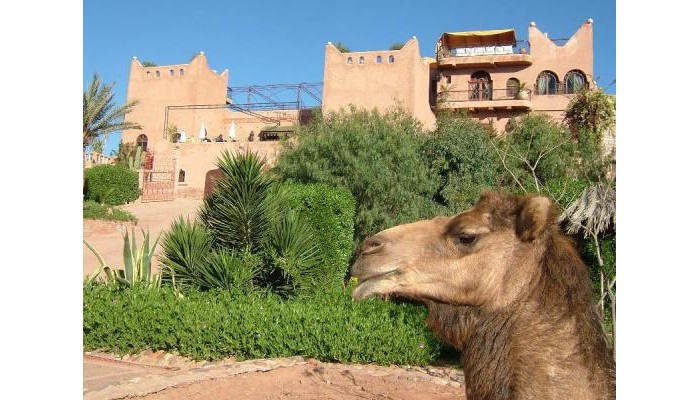 Hotel Kasbah Le Mirage poza 4