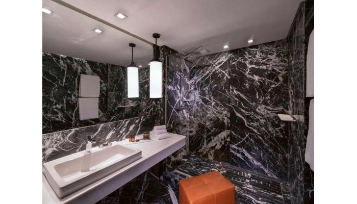 Poza pentru Hotel Movenpick Mansour Eddahbi Marrakech 395-1647340491 Hotel Movenpick Mansour Eddahbi Marrakech poza 11