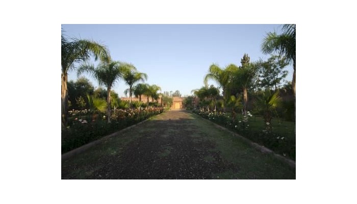Hotel Palais Riad Berbere poza 12