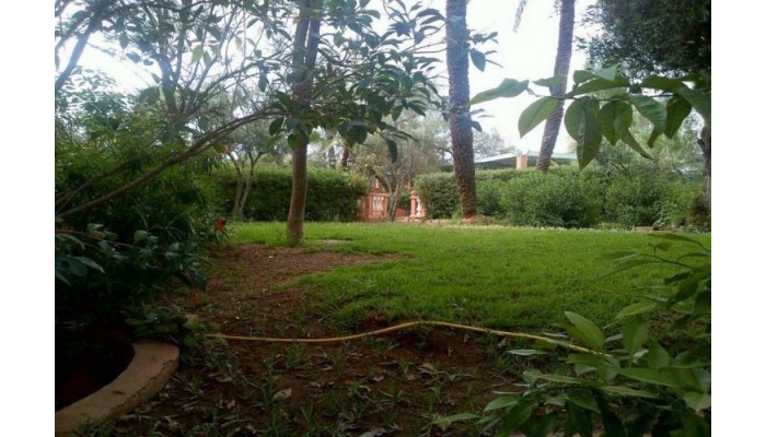 In Club Palmeraie Resort poza 5